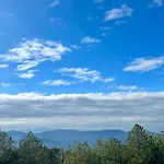 Alpine Arlon *