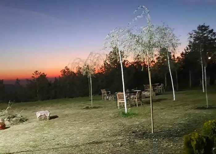 Alpine Arlon * Gjinar