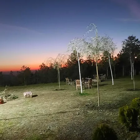 Alpine Arlon * Gjinar