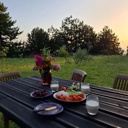 בית נופש Alpine Arlon