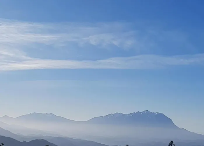 Alpine Arlon *