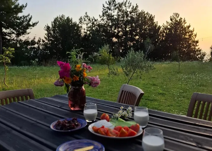 Дом отдыха Alpine Arlon